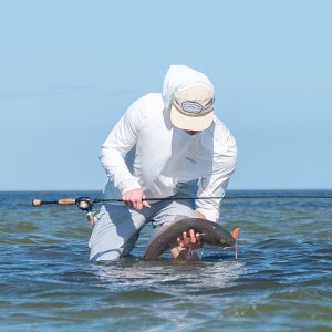 Conejos River Hoodie